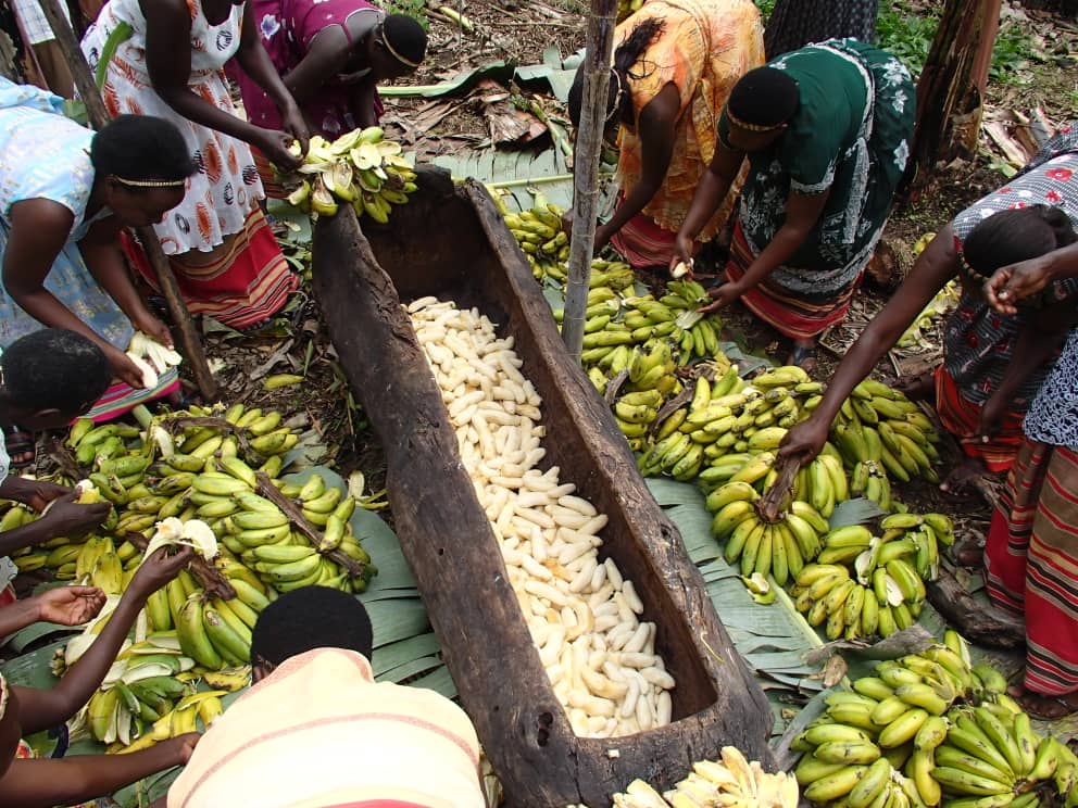 Banana Beer Brewing